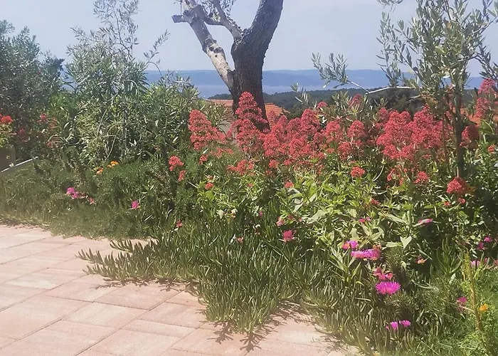 Apartmán Franolic Punat