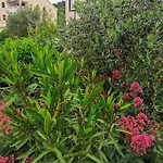 Franolic Apartman Punat
