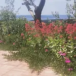 Apartman Franolic Punat